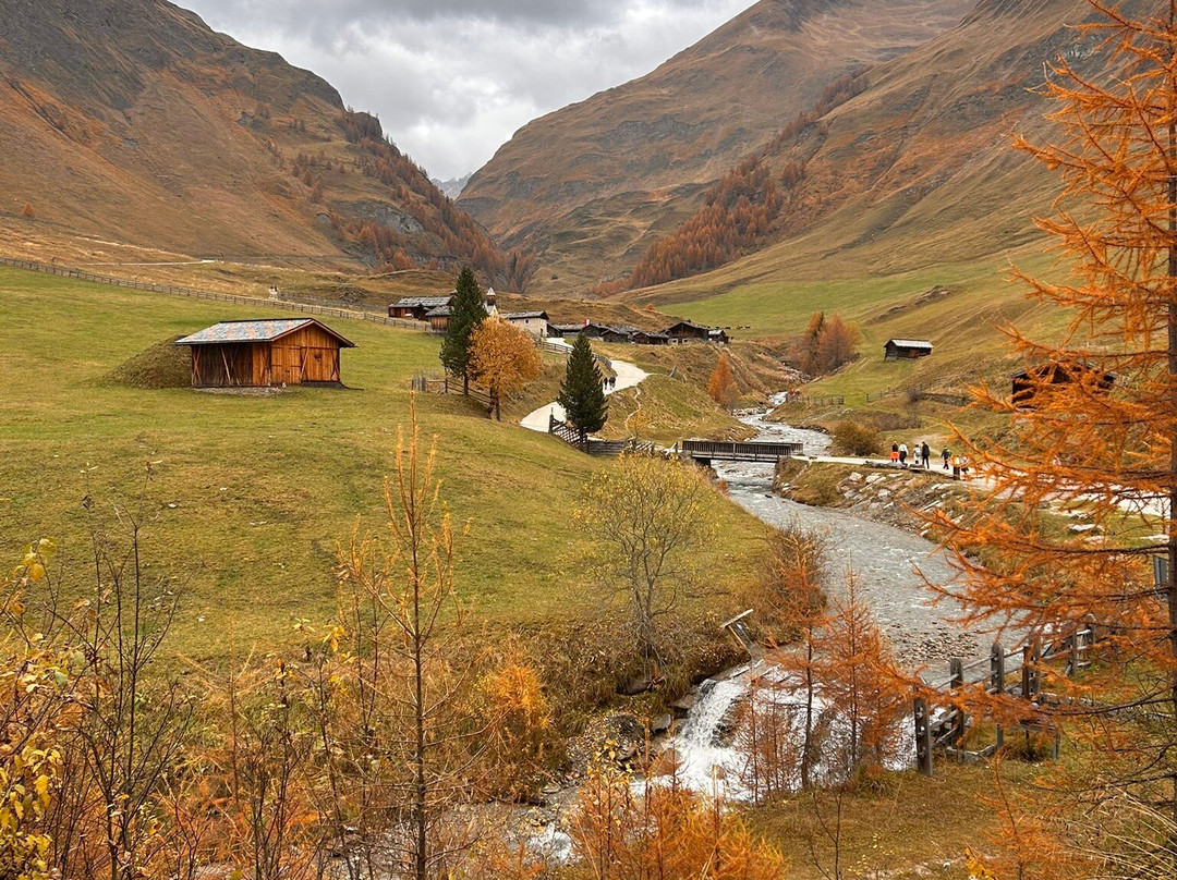 Malga Fane景点图片