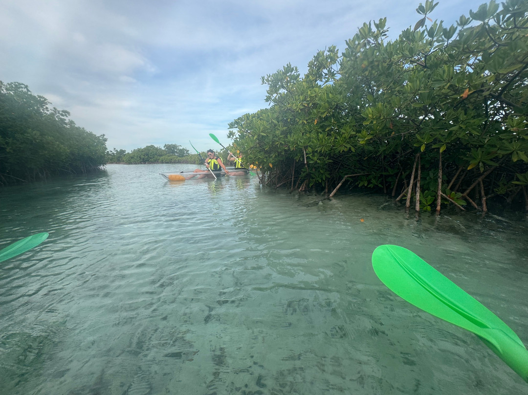 Clear wave tours-Leeward必去景点