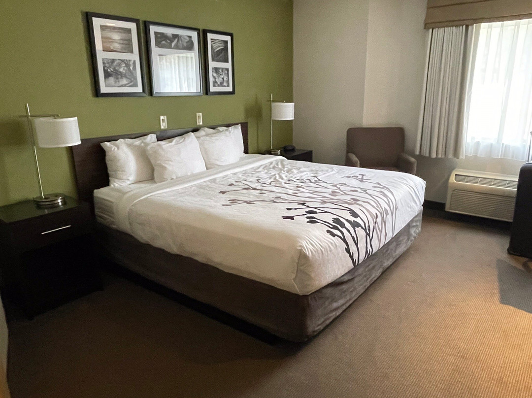 Sleep Inn & Suites主图