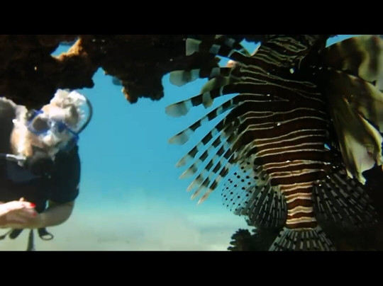 blue planet diving group-沙姆沙伊赫必去景点