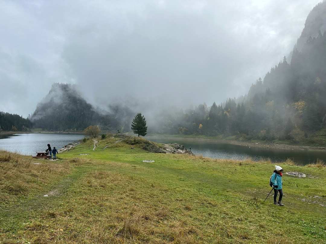 Lac De Tanay景点图片