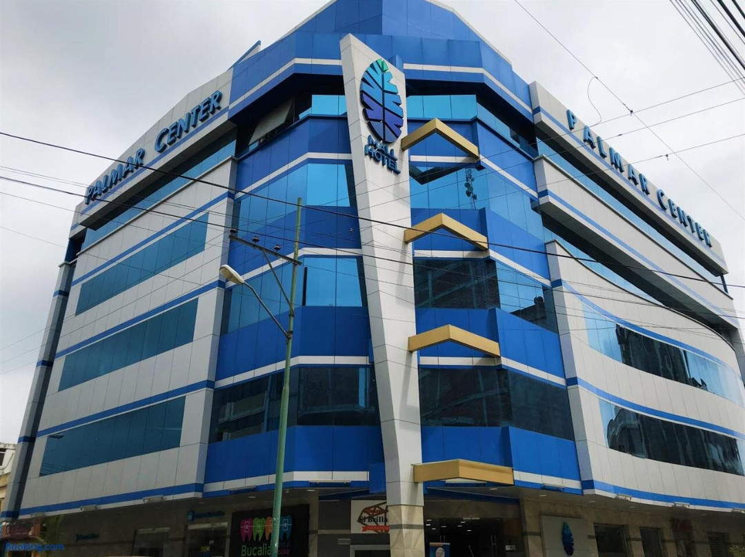 Palmar Center