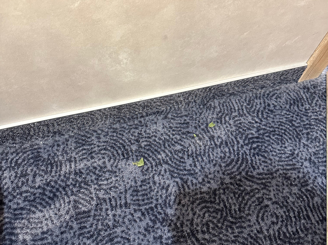 Chayka Resort Hotel主图