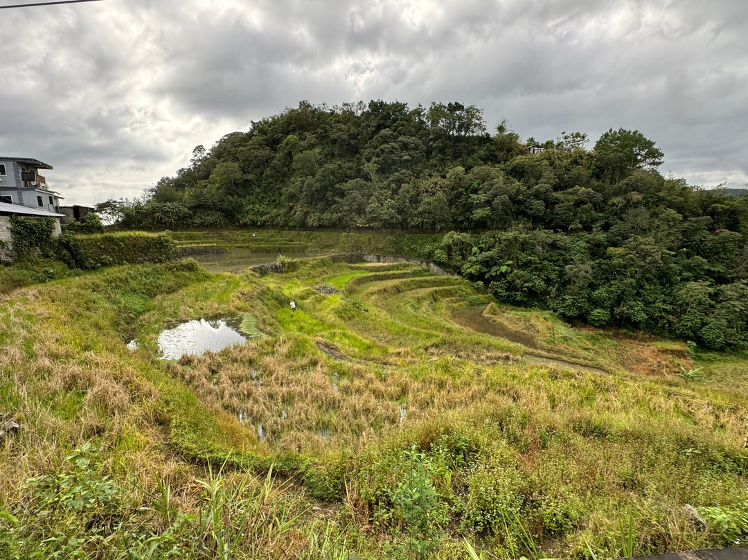 Bangaan Ifugao Rice Terraces景点图片
