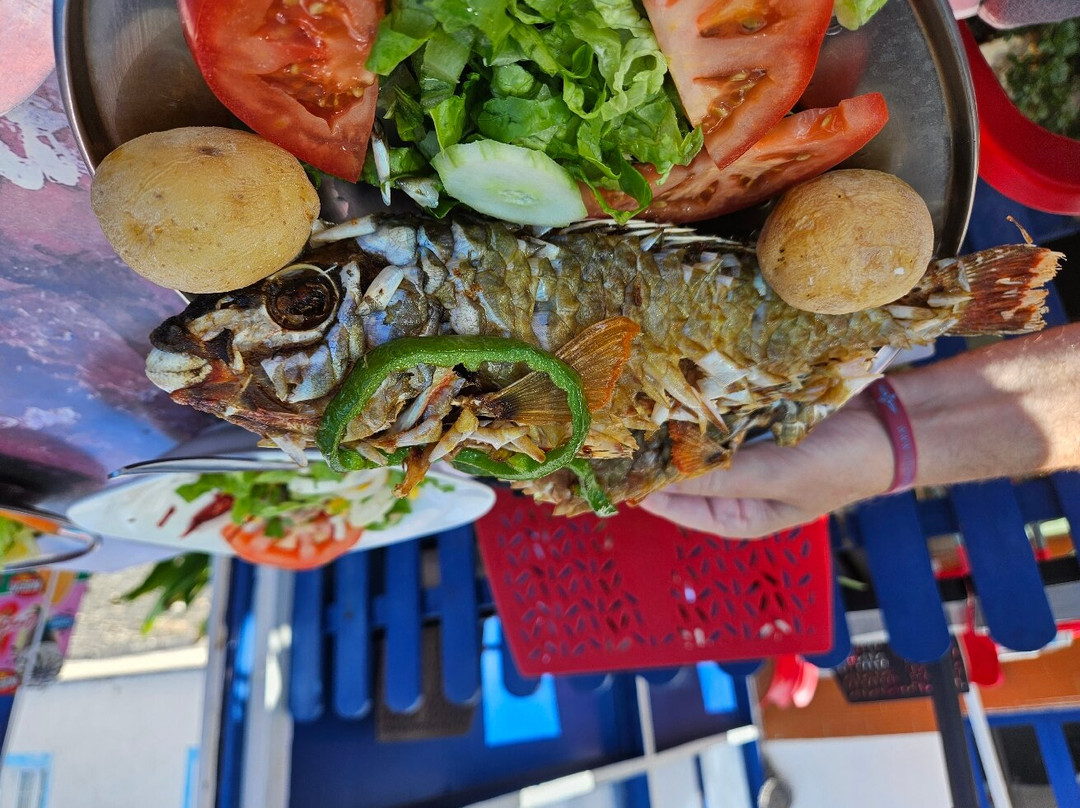 Playa de Pozo Negro-Pozo Negro必去景点