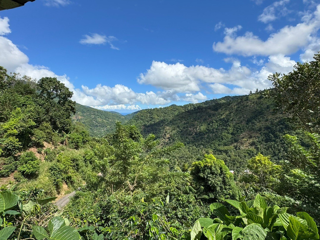 Devon's Coffee Ranch and Tours景点图片
