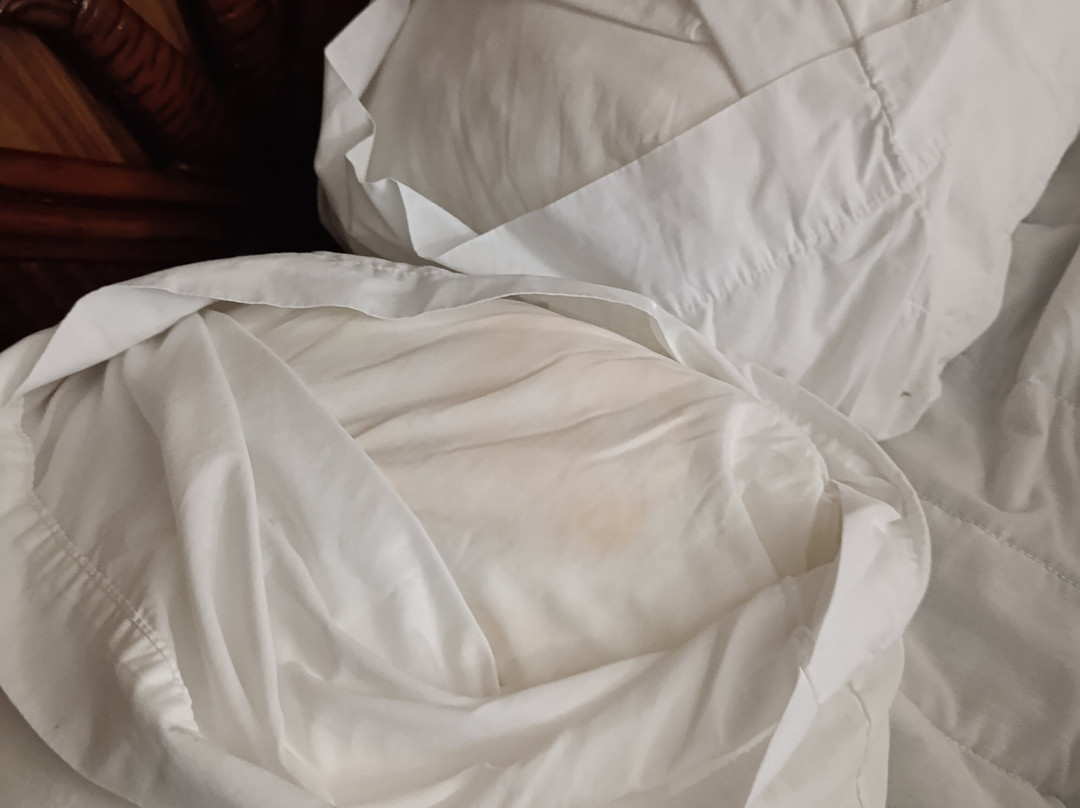 Sugarloaf Lodge主图