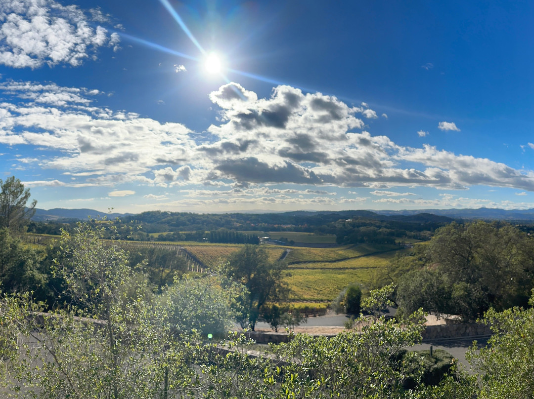 Palmaz Vineyards-纳帕必去景点