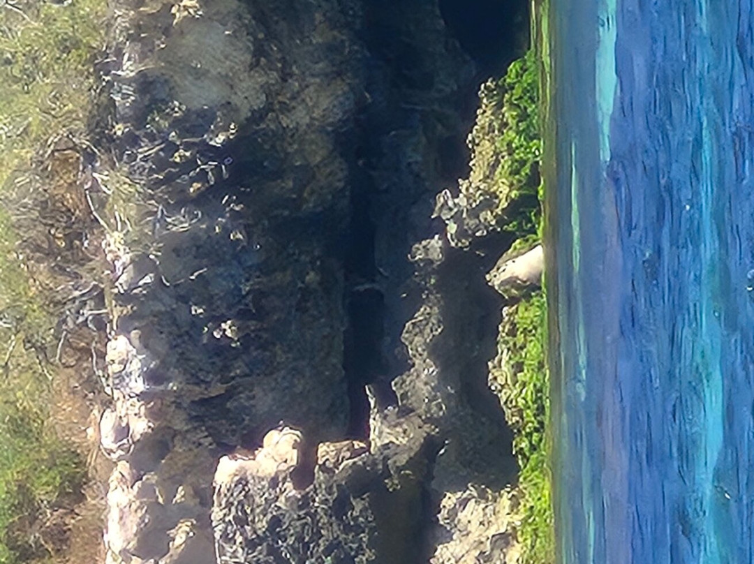 Sea Lion Charters-朱里恩湾必去景点