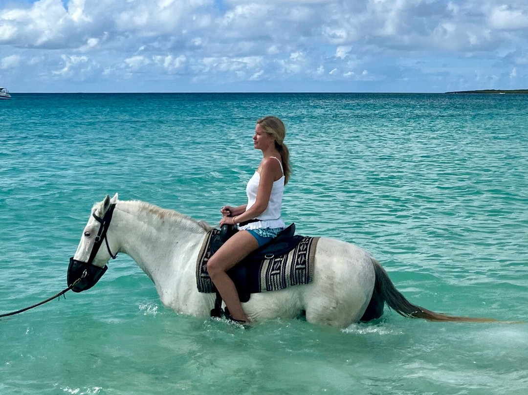 Seaside Stables Anguilla-West End Village必去景点