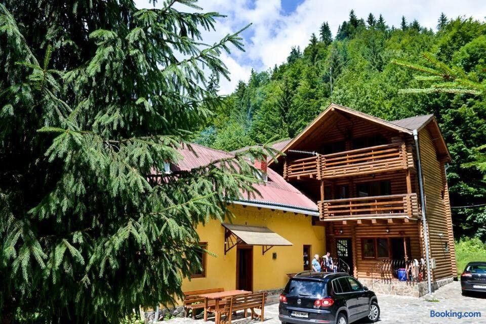 Cabana Bradul