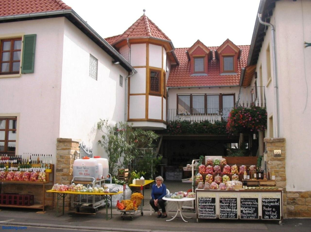 Kallstadt旅游攻略图片