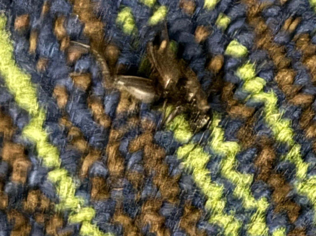 Quality Inn & Suites主图