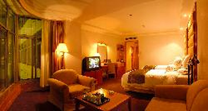 宾悦大酒店主图