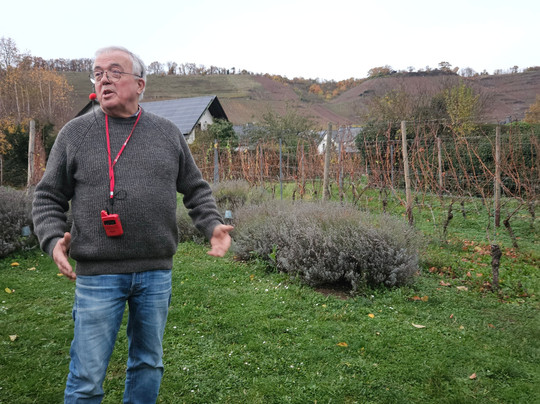 Weingut Weyh-Winningen必去景点