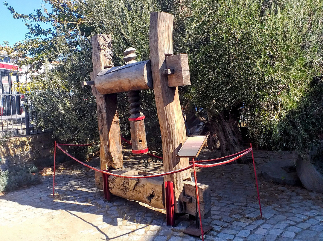 Adatepe Olive Oil Museum景点图片