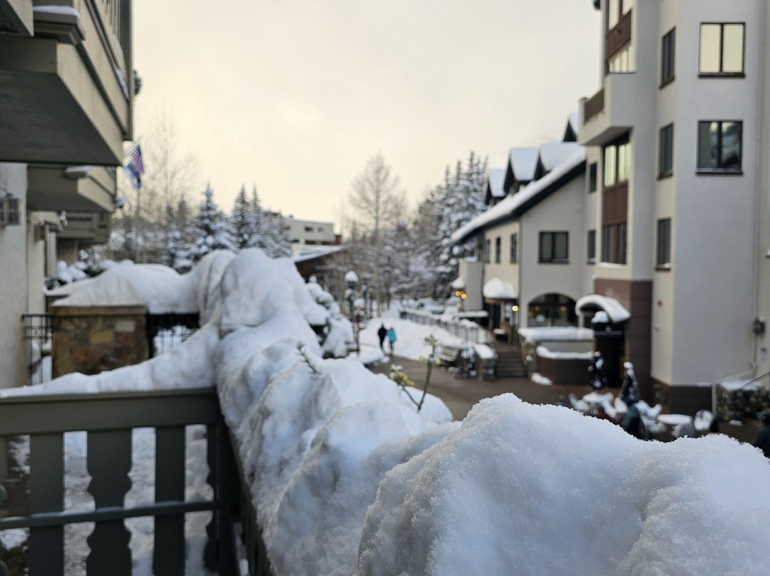 Sonnenalp Vail主图