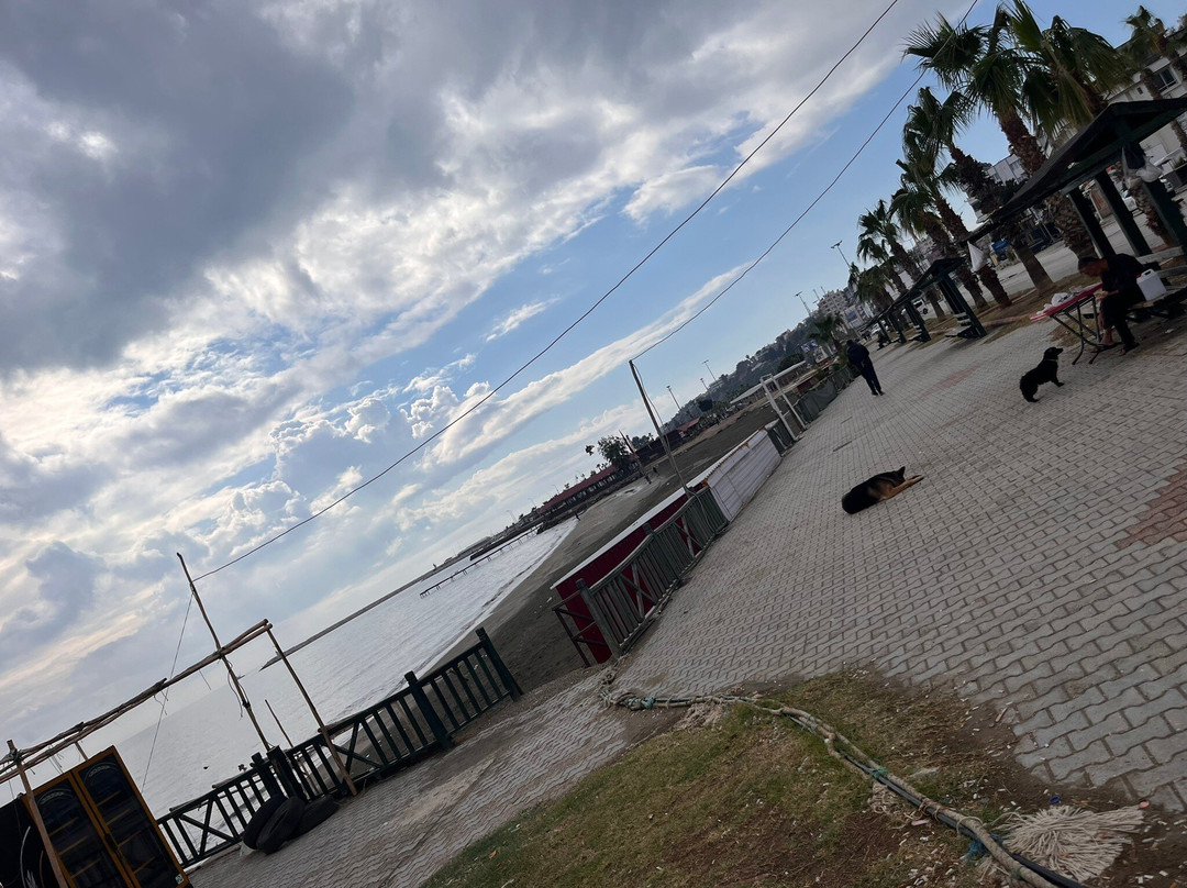 Karatas Tabiat Parki景点图片