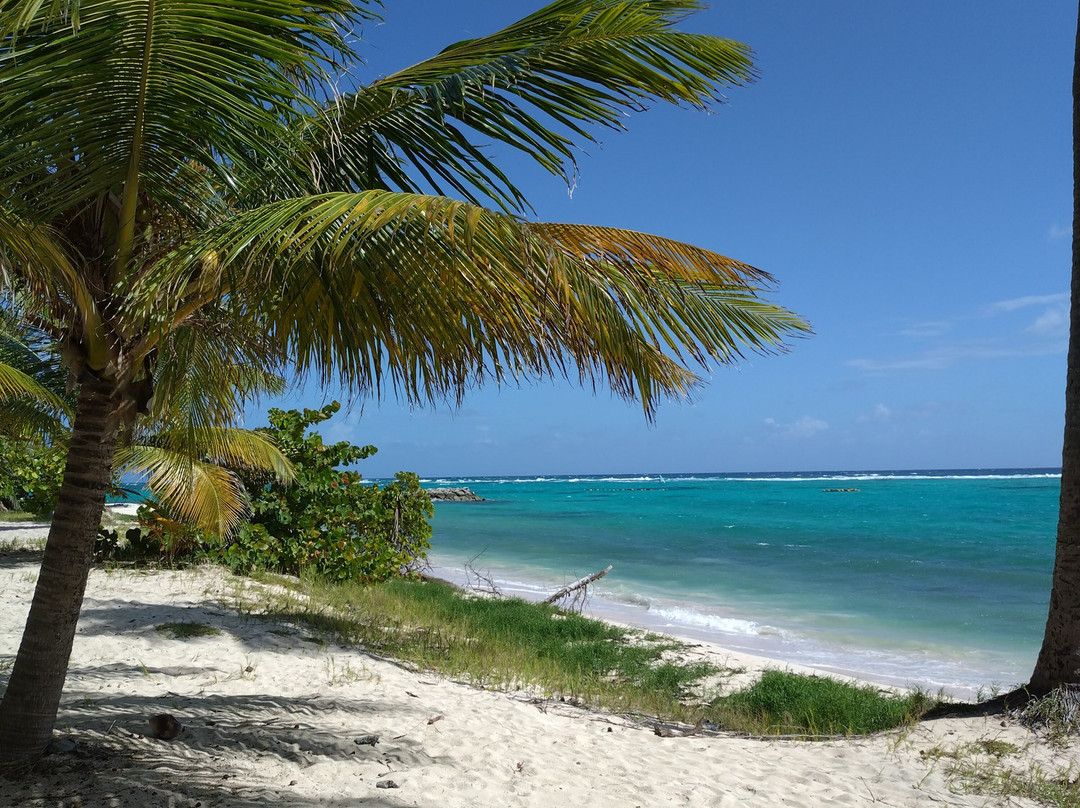Feuillere Beach-Capesterre必去景点