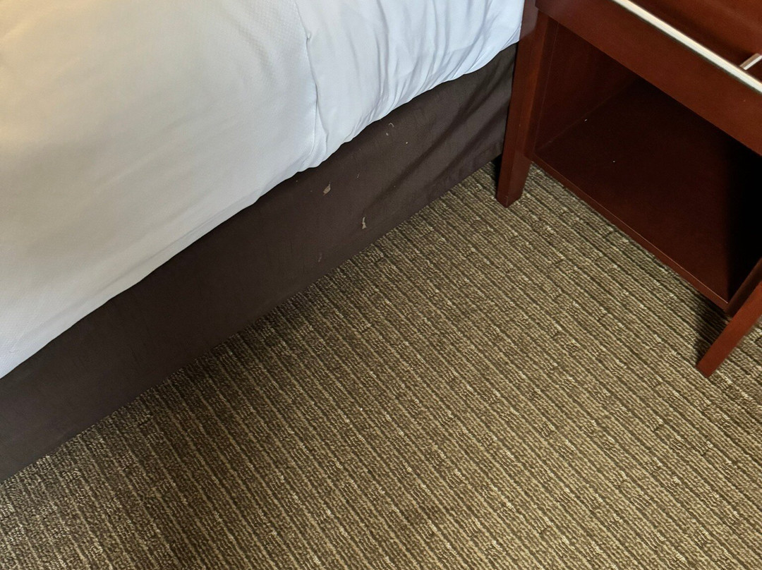 辛辛那提机场康福特套房酒店主图