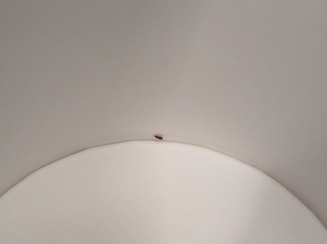 Hampton Inn & Suites Manchester-Bedford主图