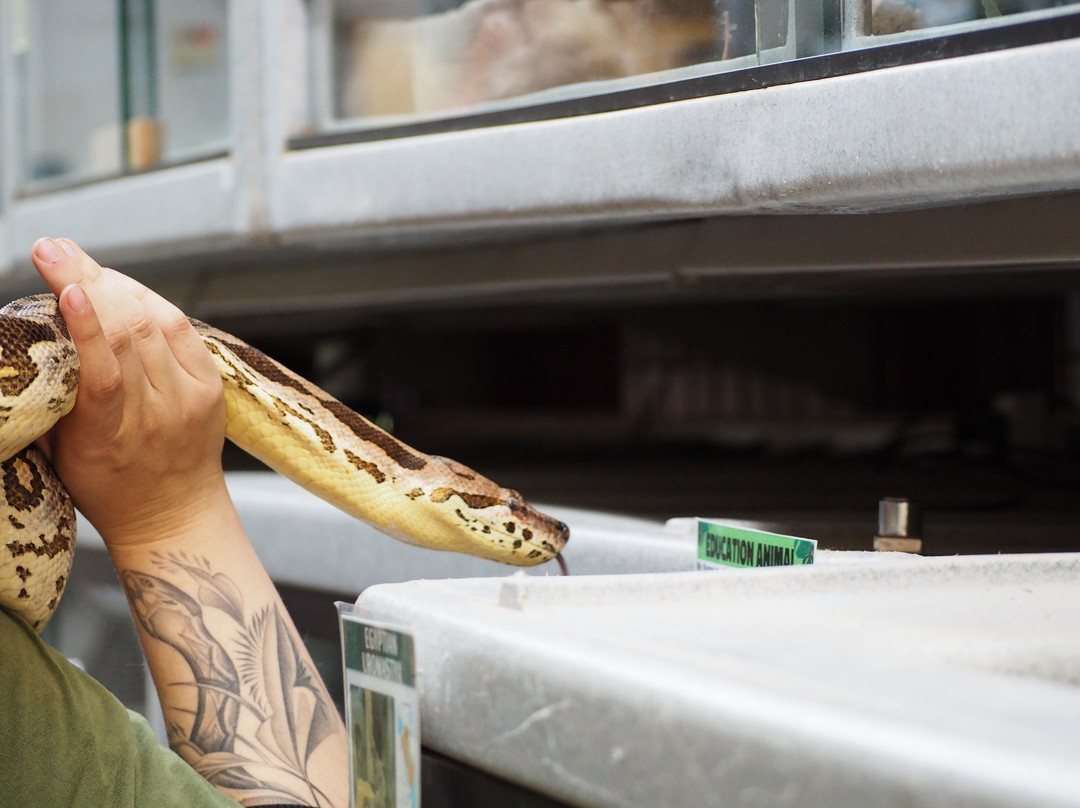 Phoenix Herpetological Sanctuary-斯科茨代尔必去景点