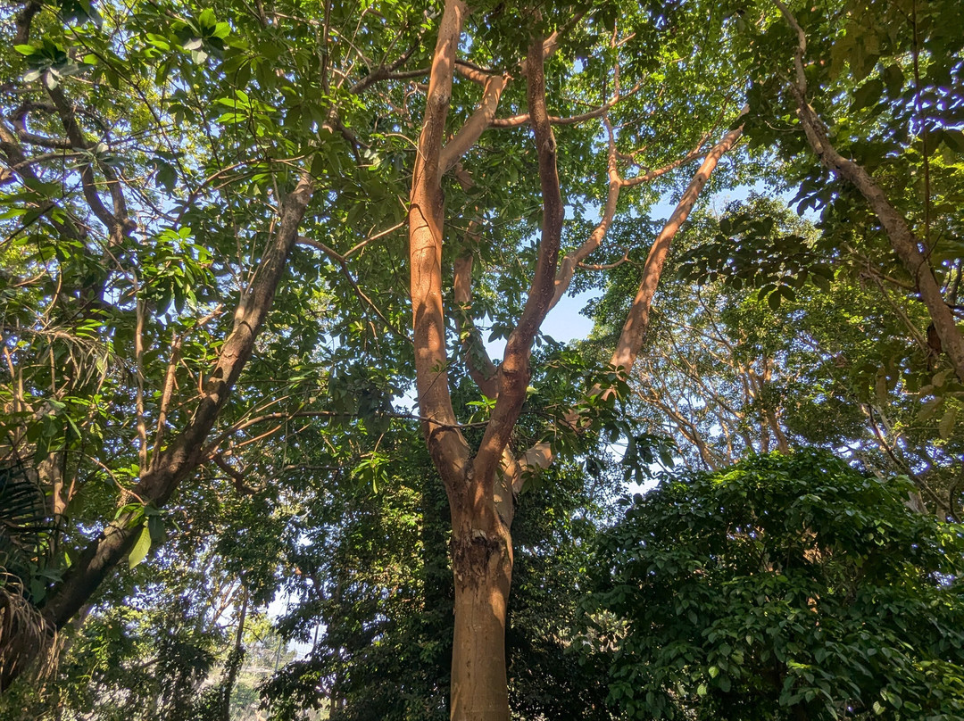 Entebbe Zoo-恩德培必去景点