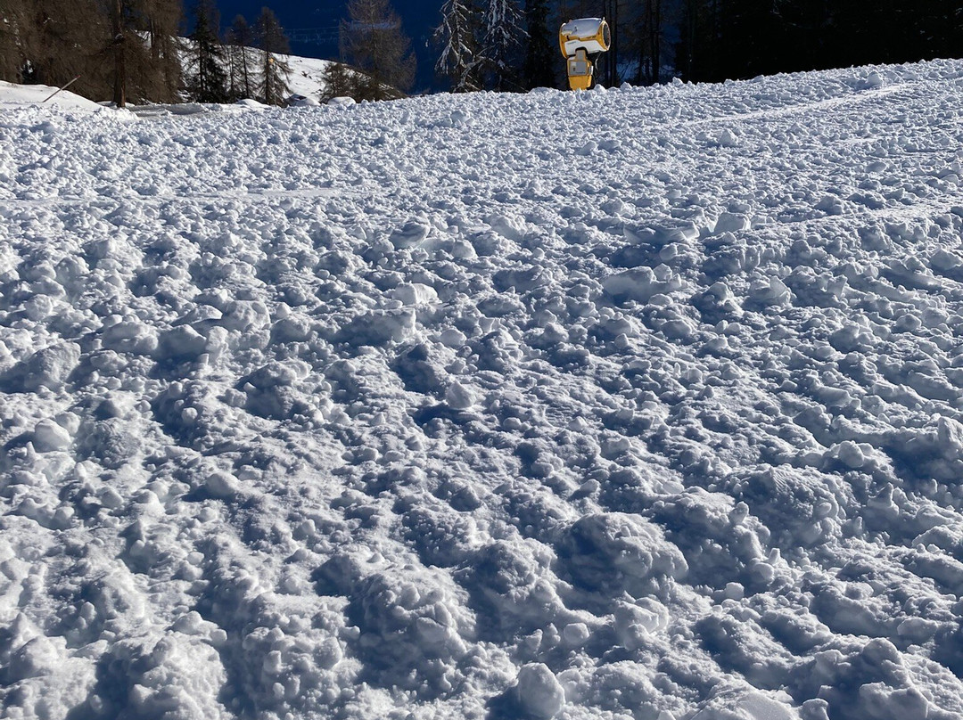 Bergbahnen Motta Naluns景点图片
