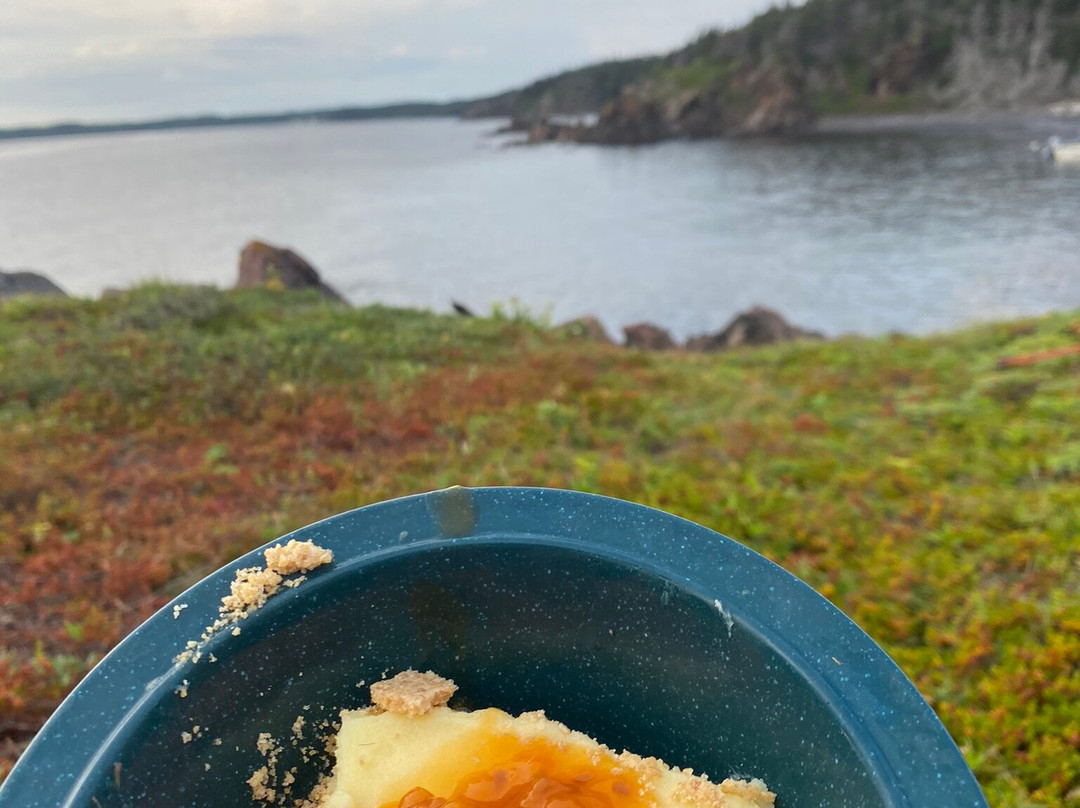 Adventures Newfoundland景点图片