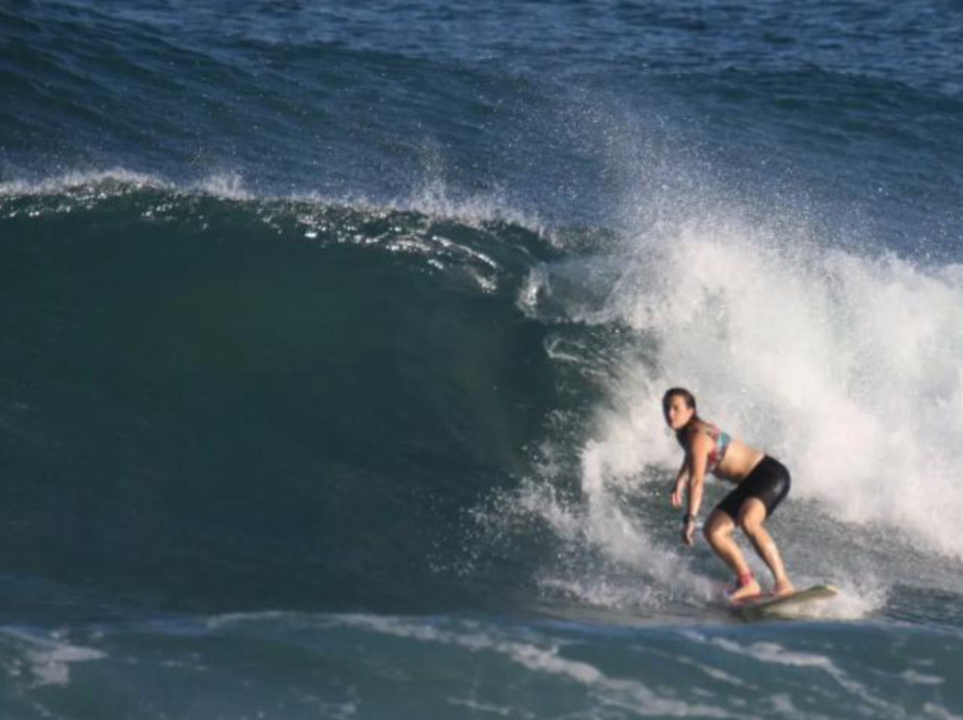Pro Surf School Sri Lanka景点图片