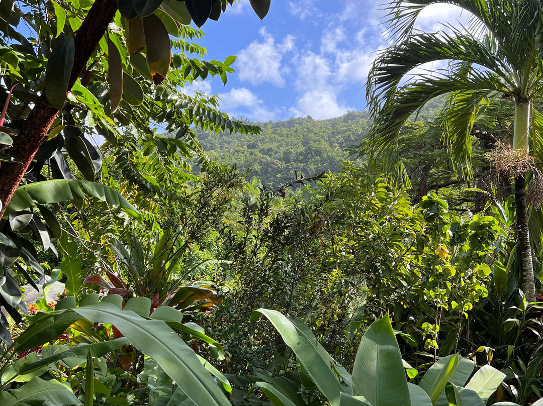 Hibiscus Valley Inn主图