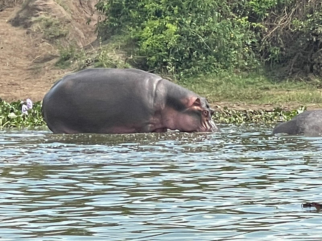 Bright Safaris Uganda-Mbale必去景点