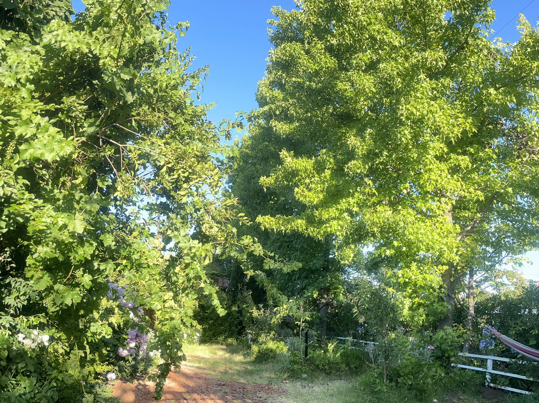 Hotel Vendimia Parador主图