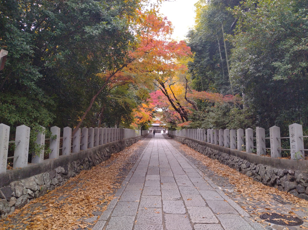Muko Shrine-向日市必去景点