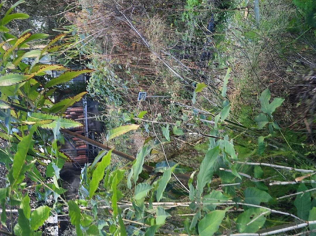 Orto Botanico dell'Università di Catania景点图片