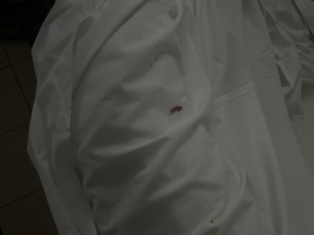 Country 2 Coast Motor Inn Coffs Harbour主图