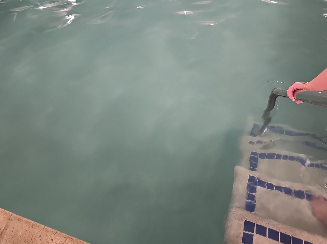 Best Western Plus Executive Court Inn & Conference Center主图