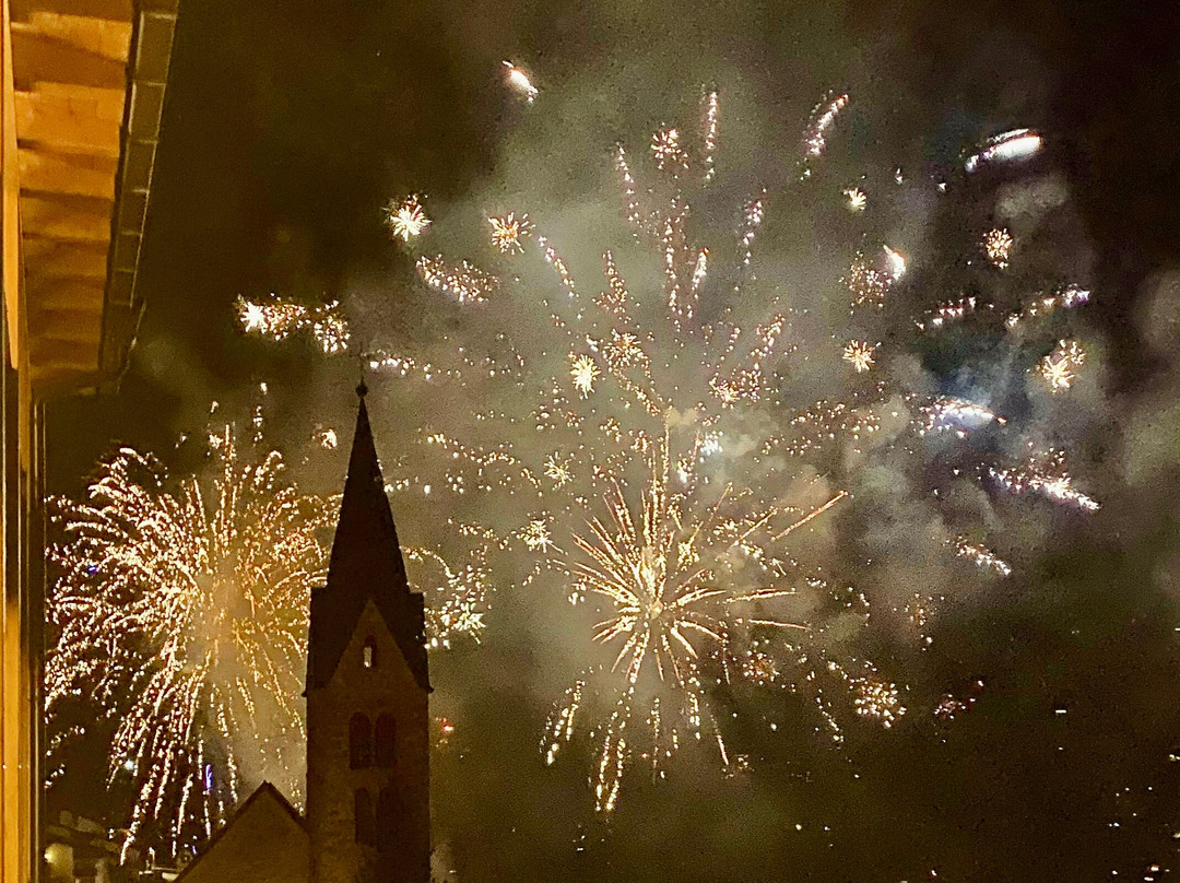 Panorama Hotel Flora主图