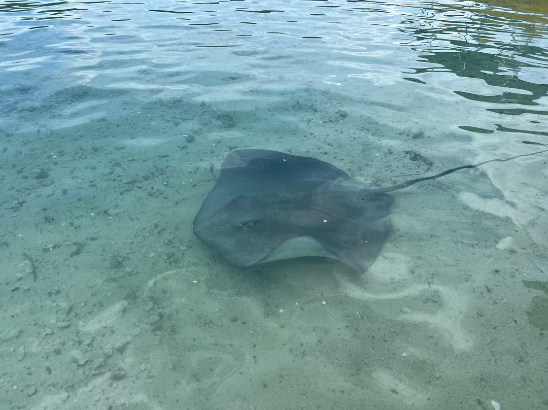 Moorea Tiki Tour景点图片