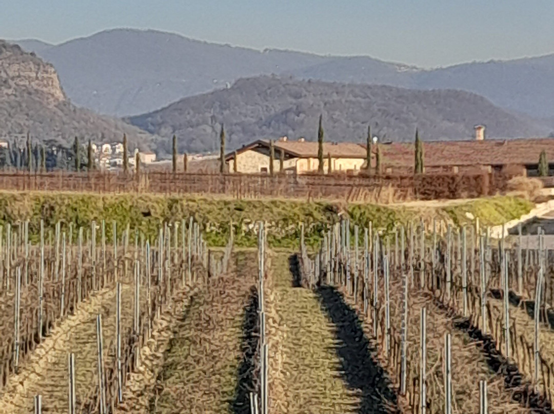 Franciacorta Tour景点图片
