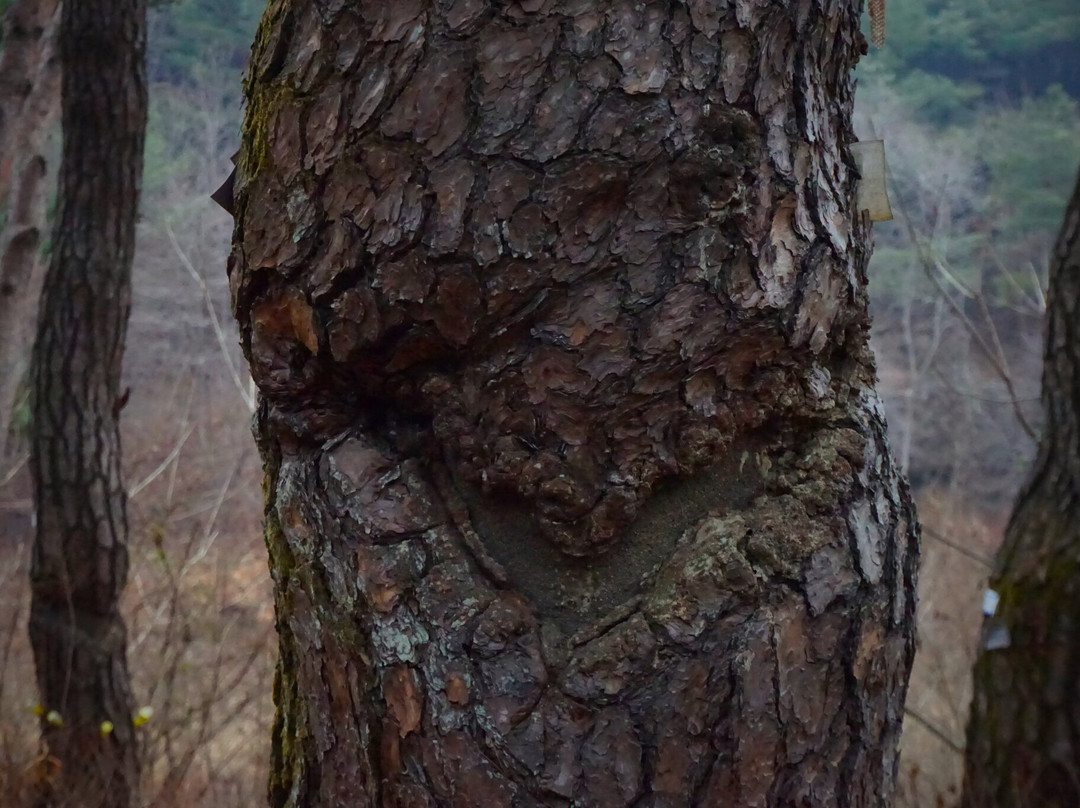 Bonggoksa Temple-牙山市必去景点