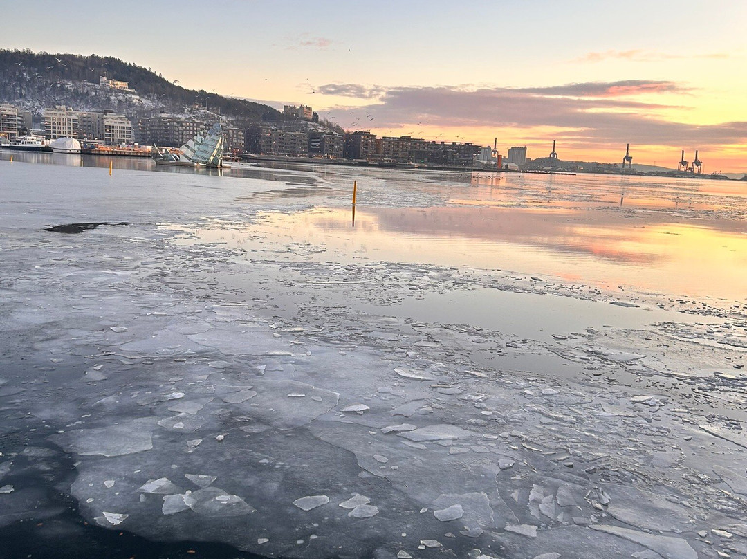 Fjord Cruise Oslofjord-奥斯陆必去景点