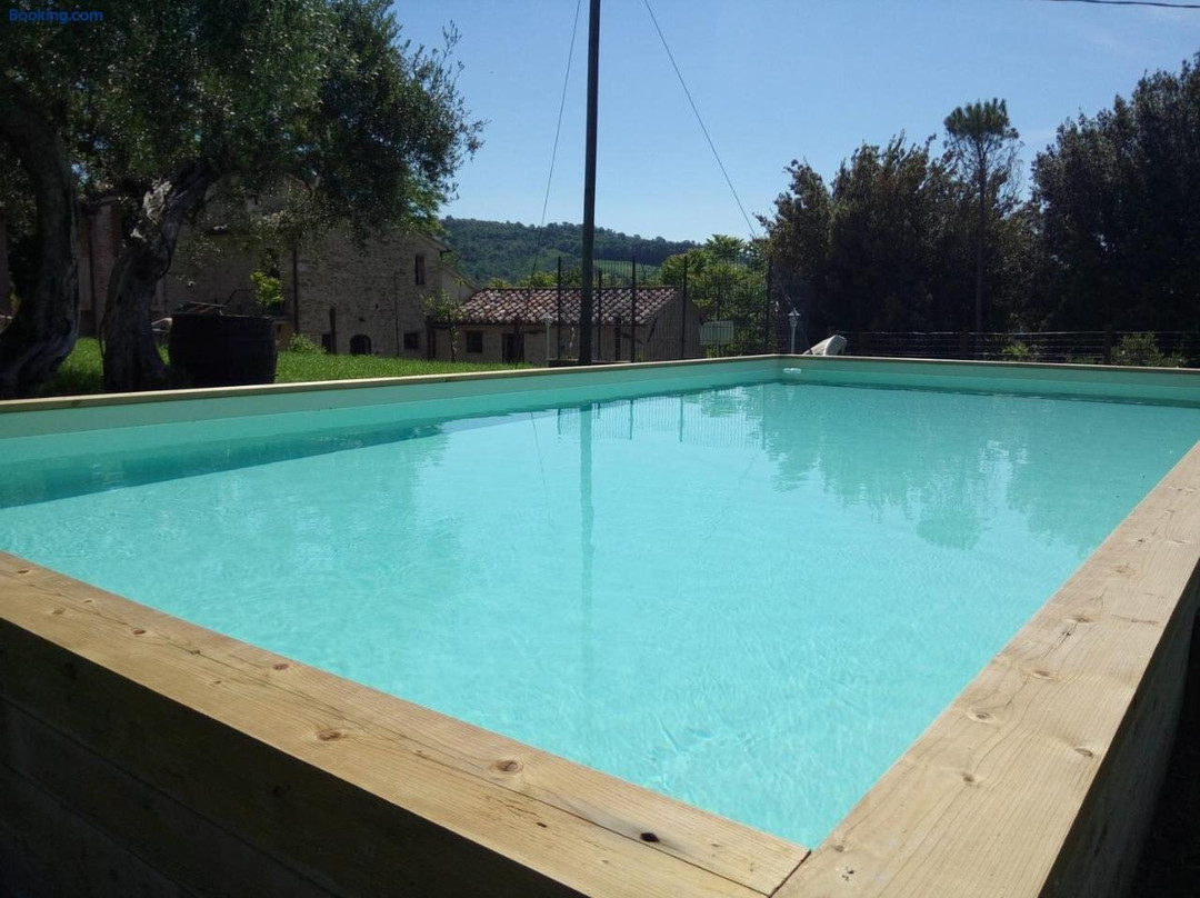 La Collina Degli Ulivi. (Self Catering Apartments/Short Lets/Affitti Turistici)