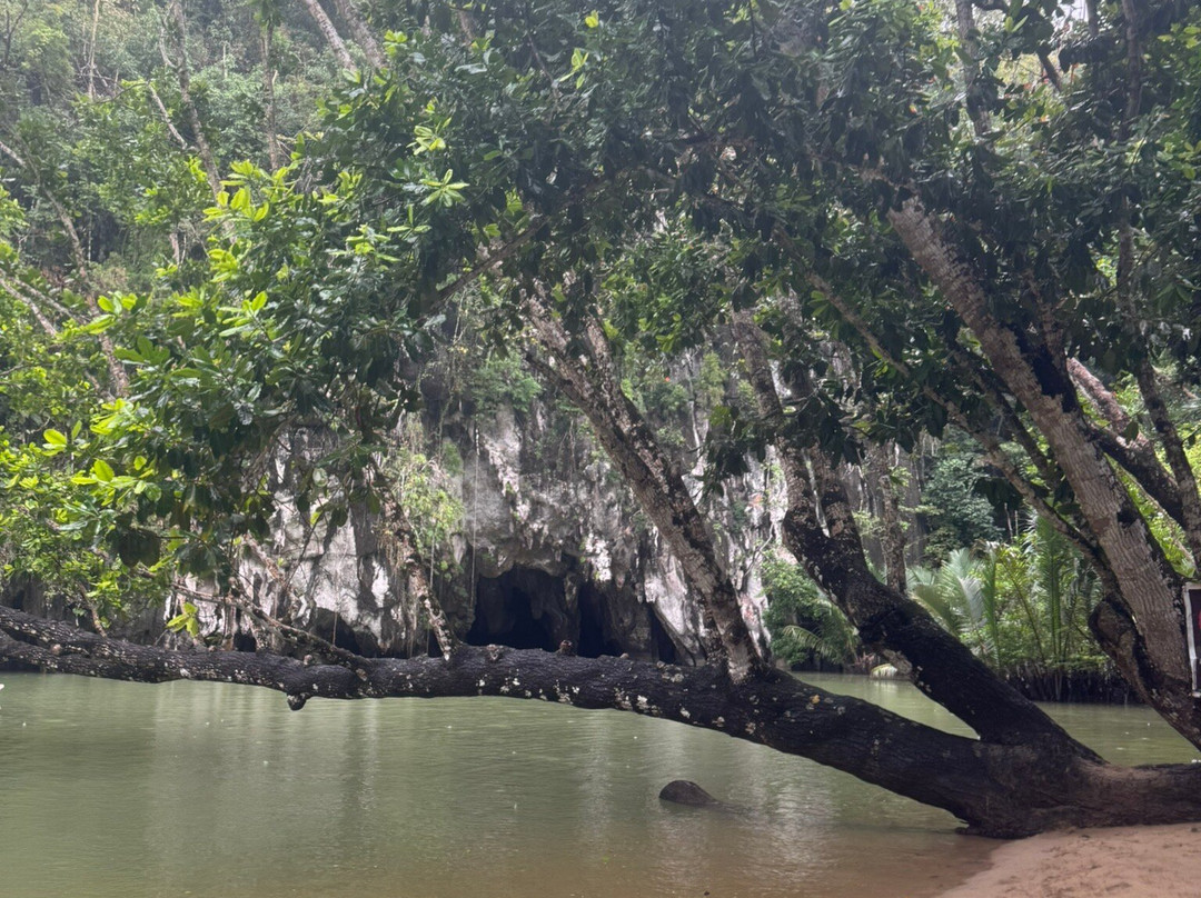 Puerto Princesa Underground River Day tour景点图片