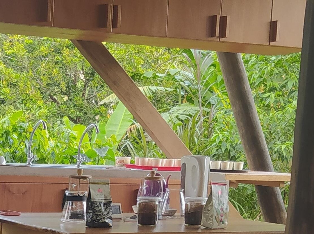 Witoca景点图片