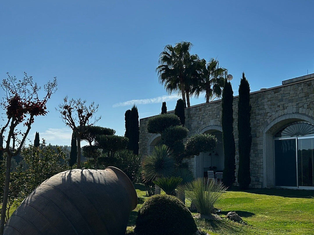 Urla Winery景点图片