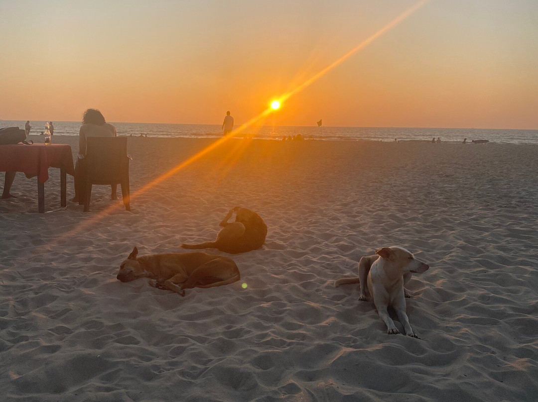 Cansaulim Beach景点图片