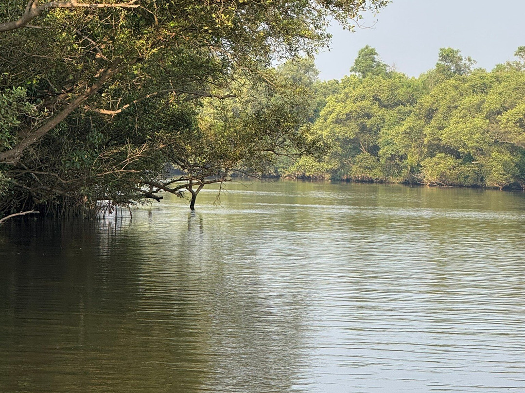 Jake The Snake Boat Trip景点图片