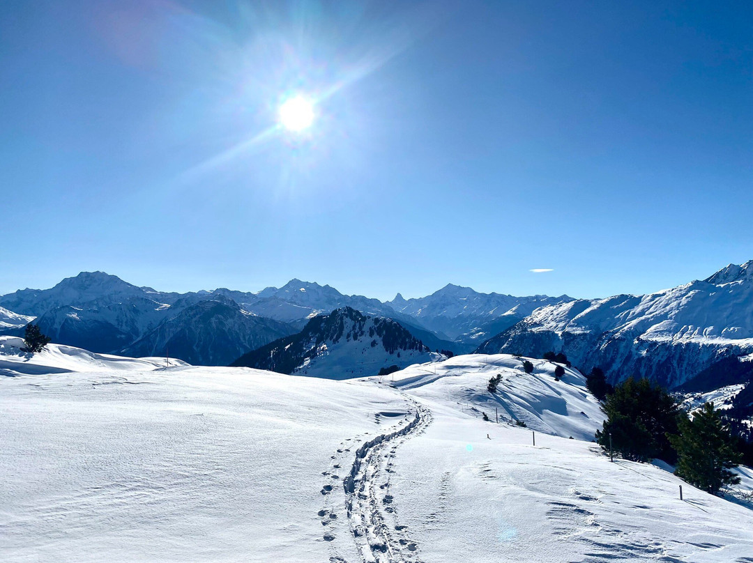Aletsch Arena-Bettmeralp必去景点