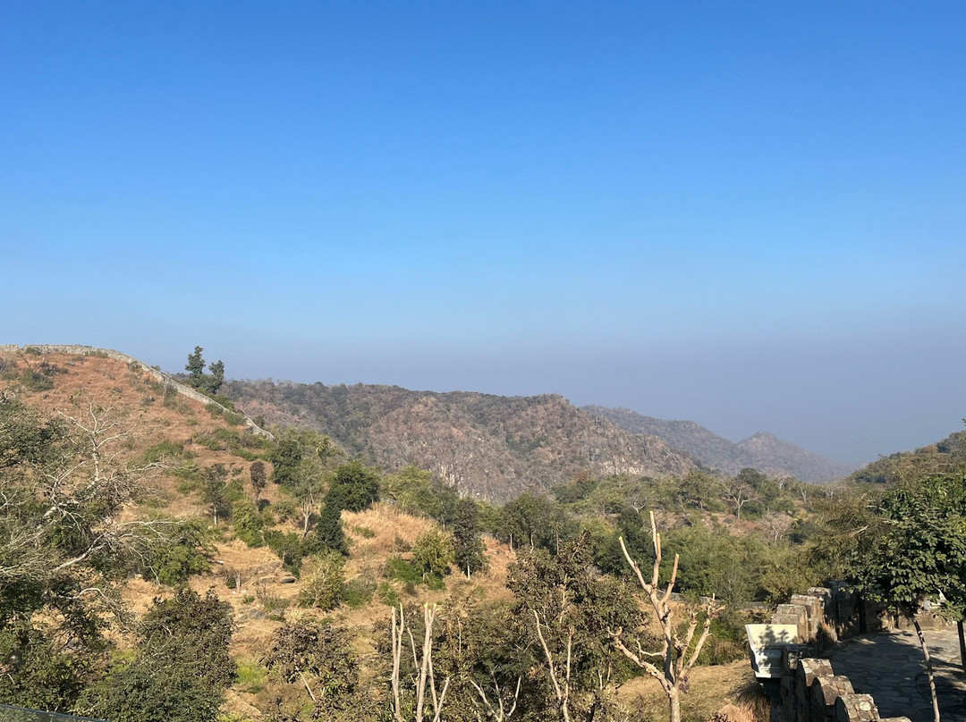 Udaipur Tour Travels景点图片